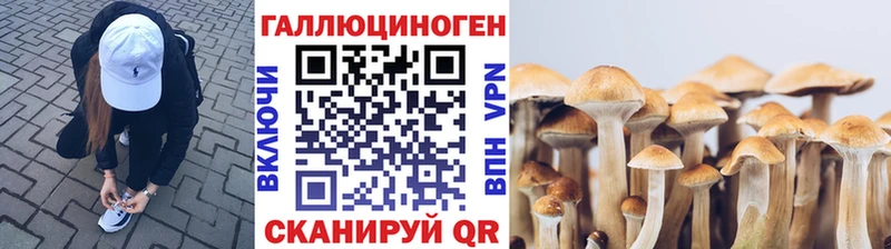 Галлюциногенные грибы мицелий Купить Яровое
